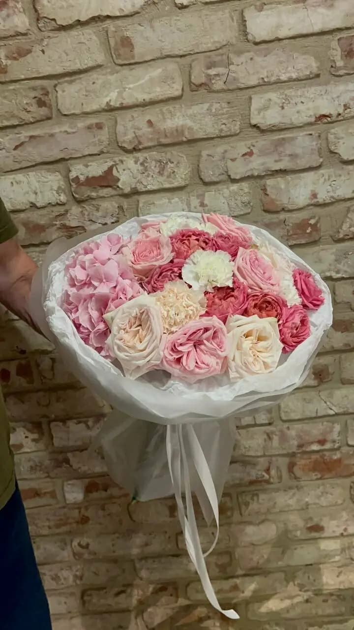 Мария Санта