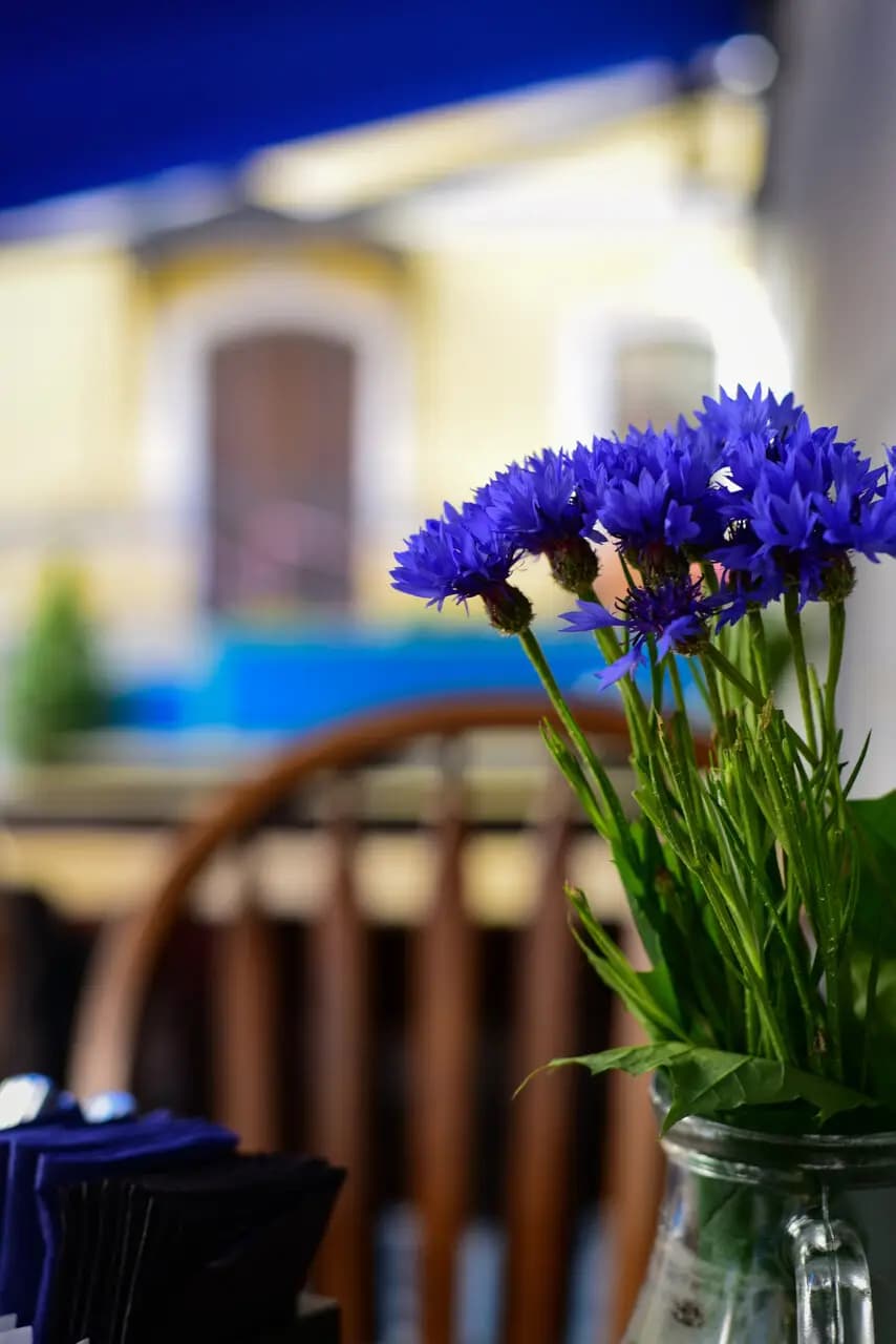 Петров и Васечка