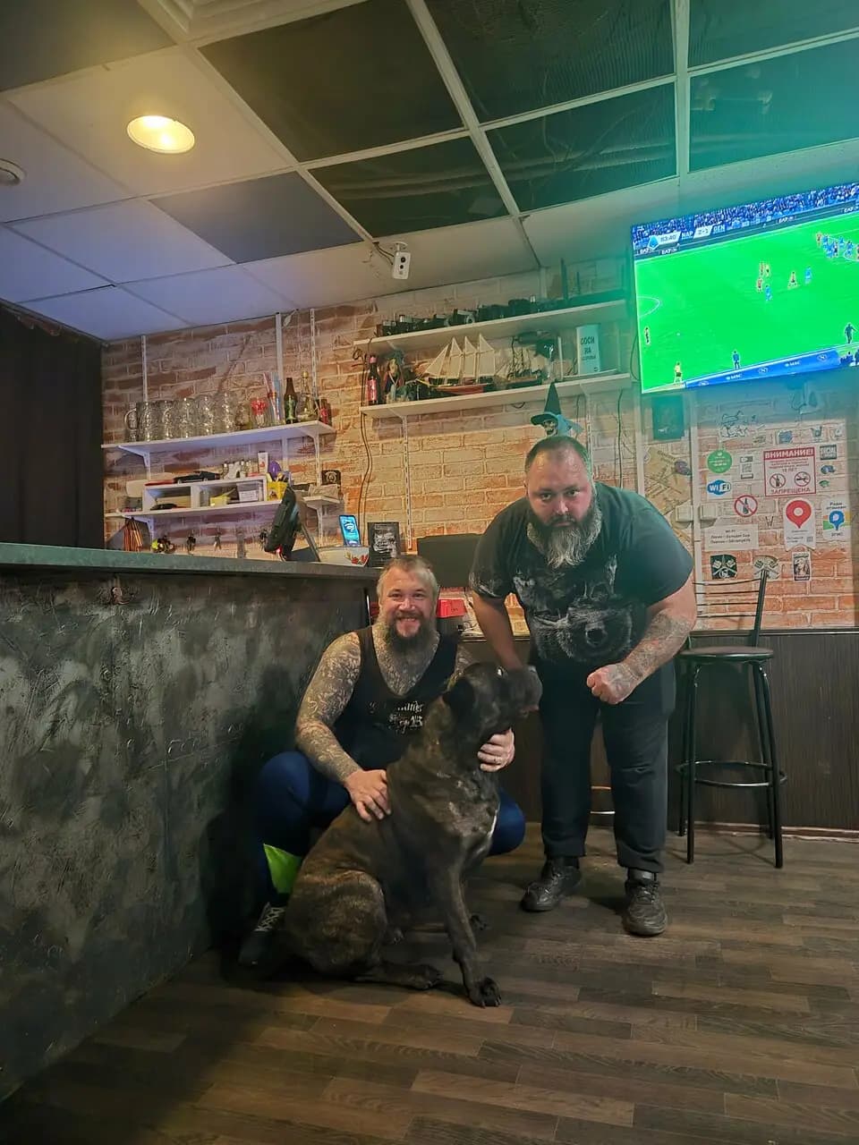 Бульдог бар