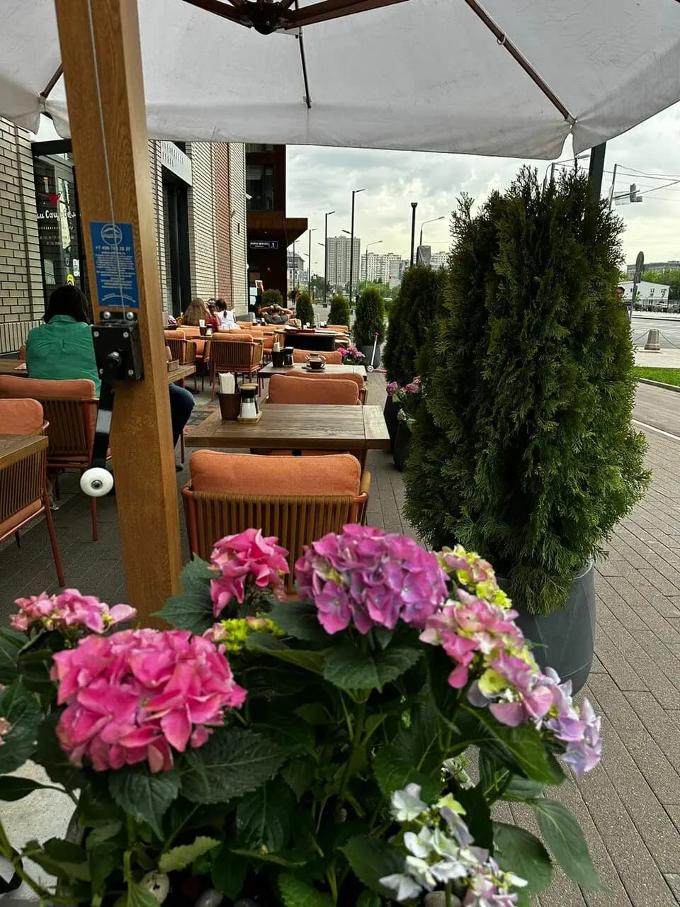 Ели Сацебели