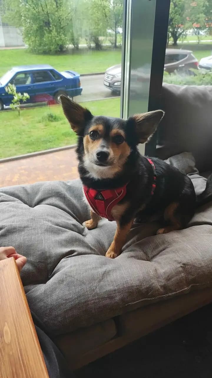 ПИПЛ'с кафе