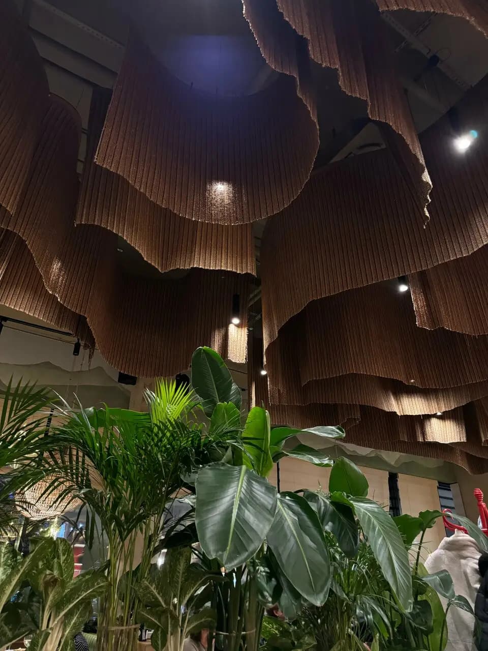 Грузинские каникулы