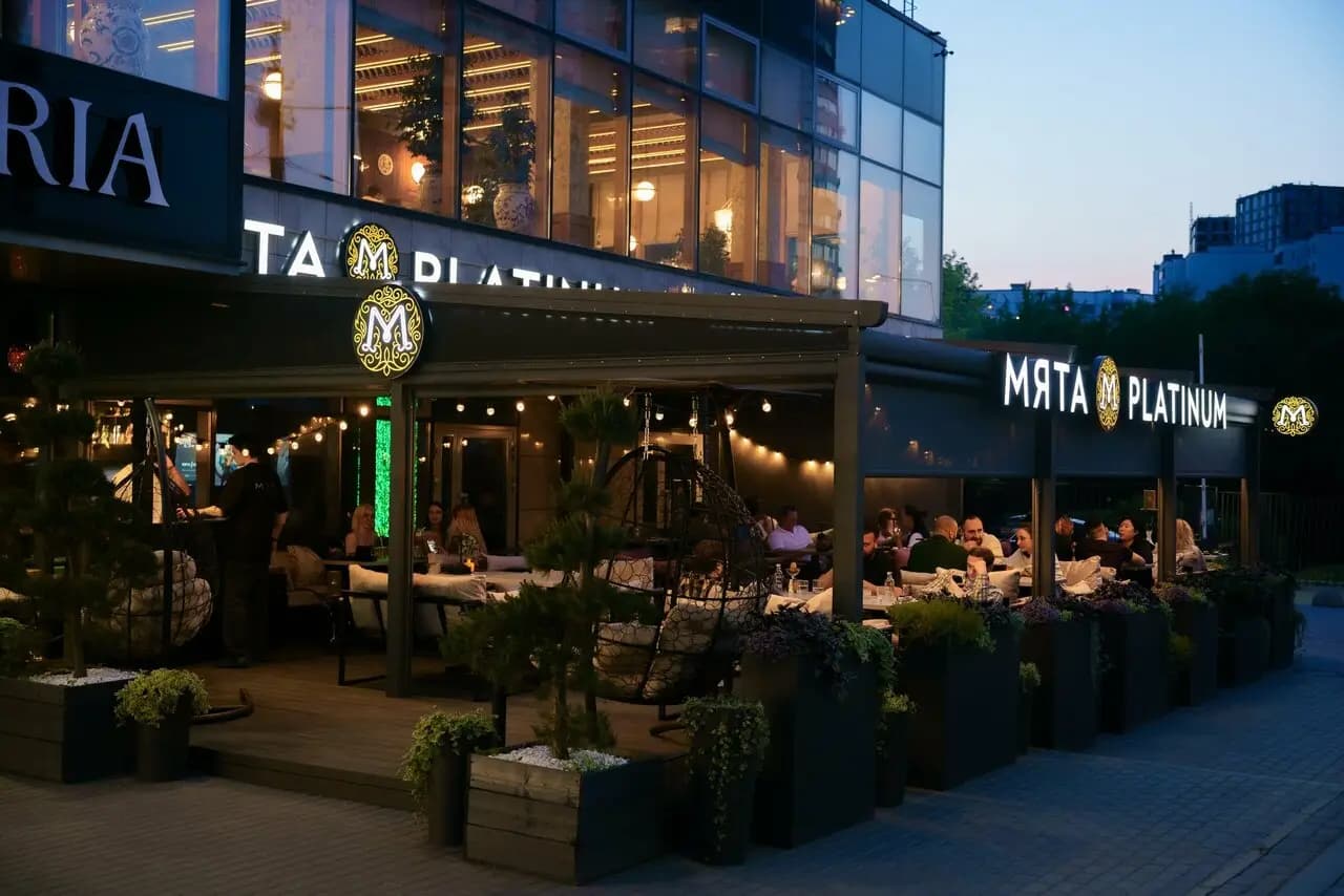 Мята Мичуринский