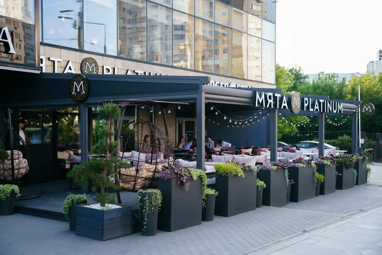 Мята Мичуринский