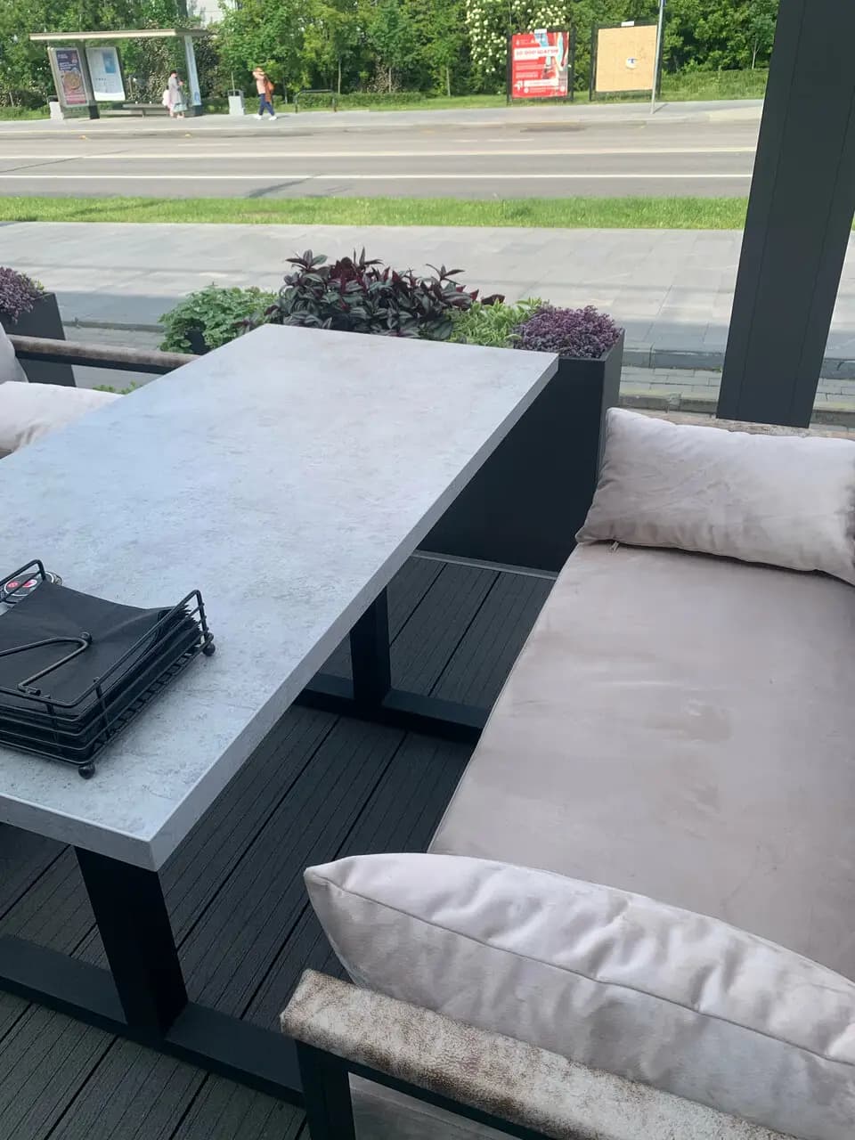 Мята Мичуринский