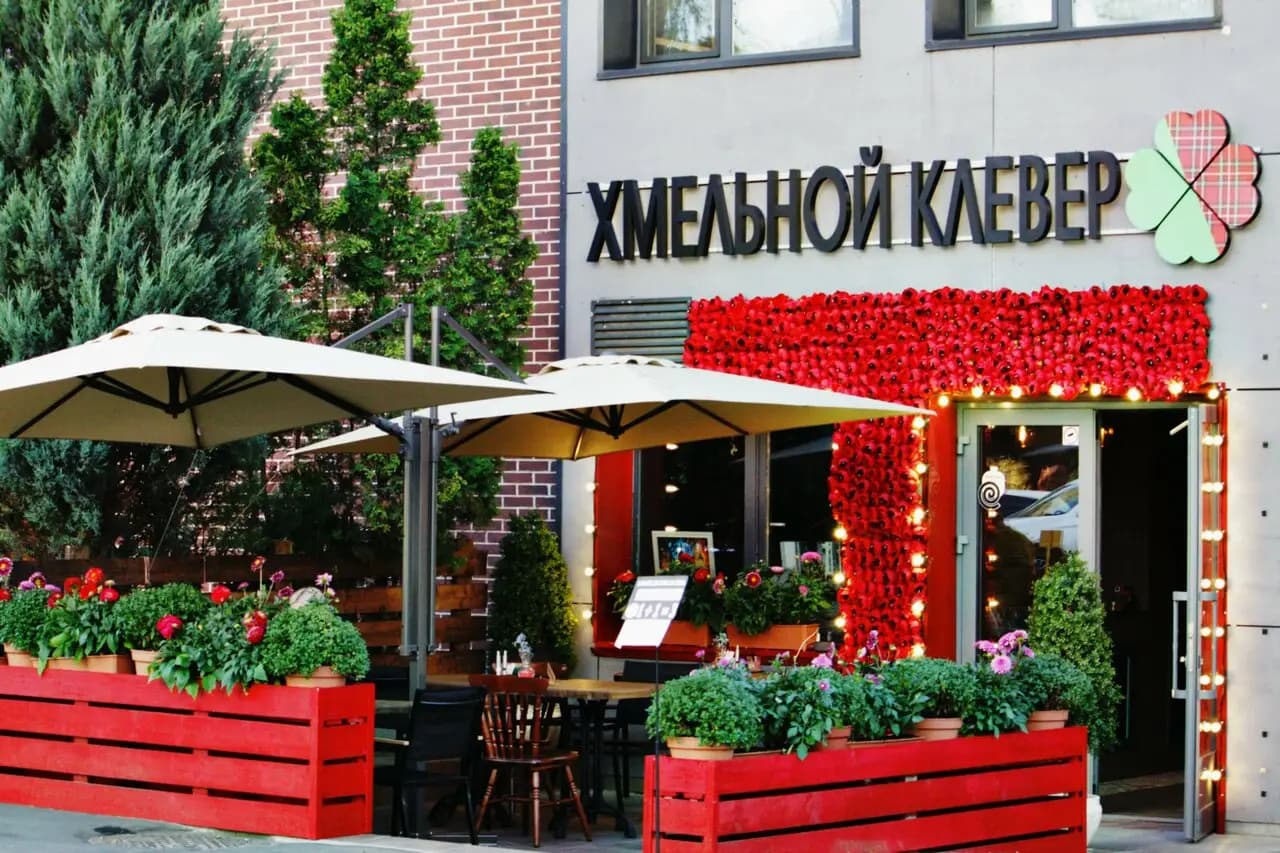 Хмельной Клевер