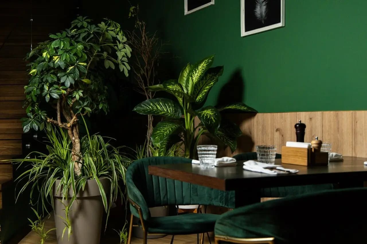 Стейк-Хаус Muu