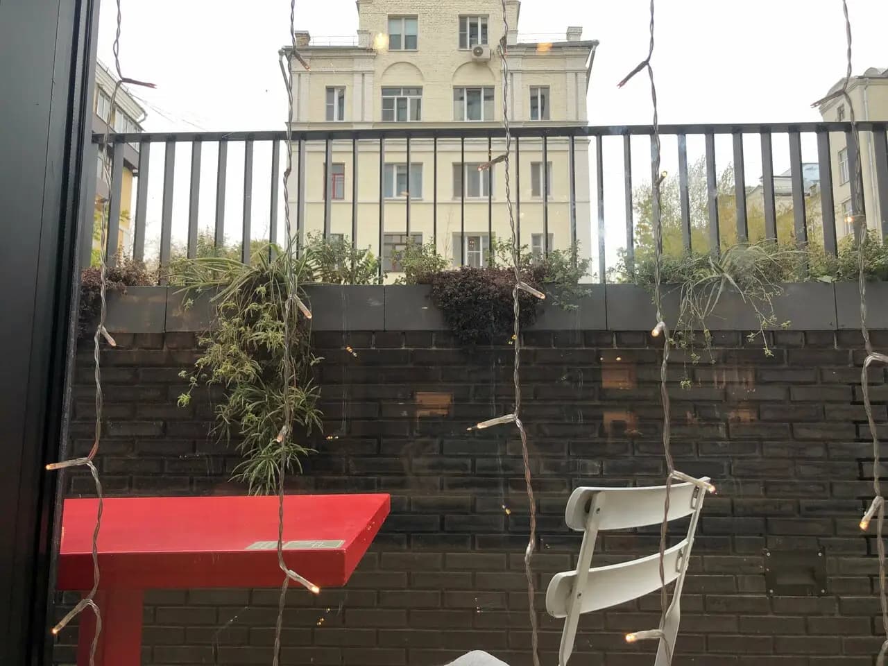 M2 Органик клуб