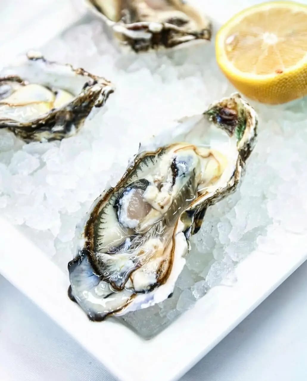 Семифреддо