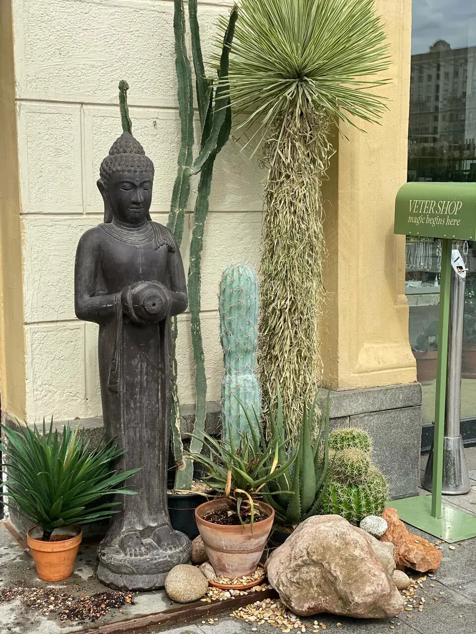 Без рецепта