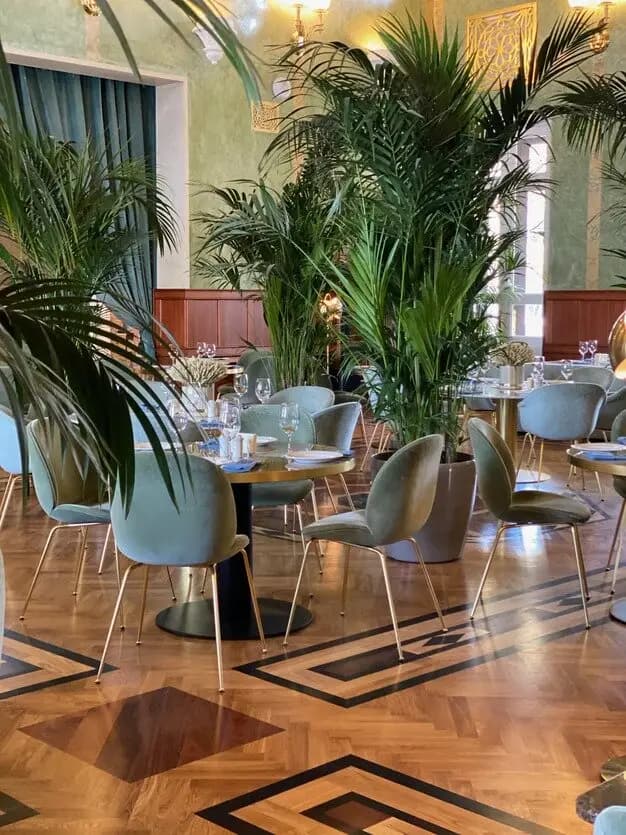 Волга-Волга