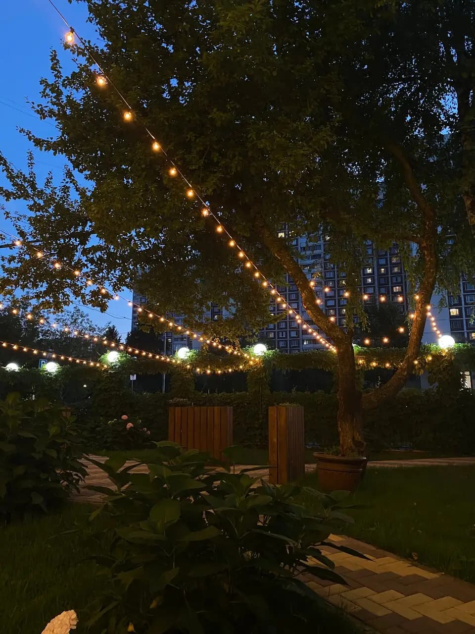 Алазанская долина