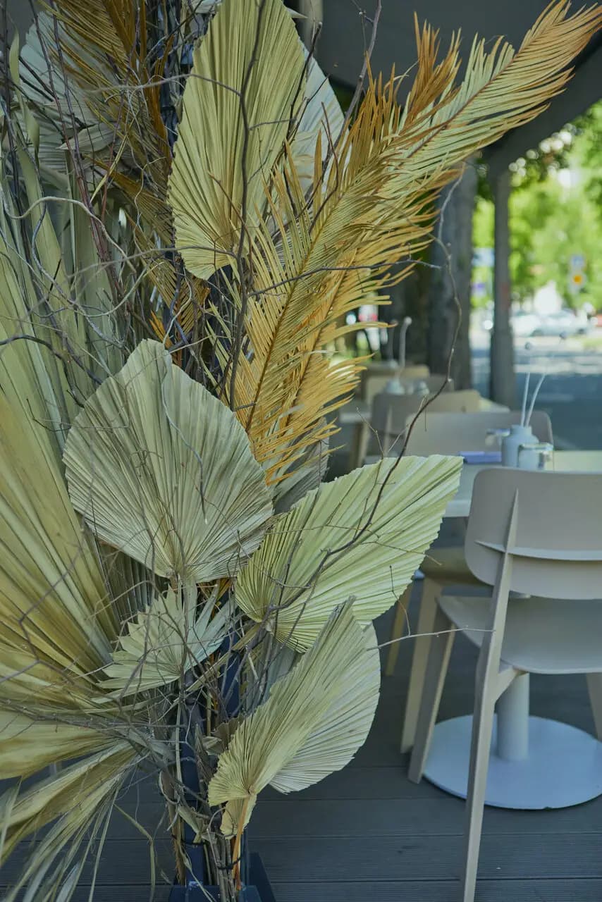 Давайте карбонару