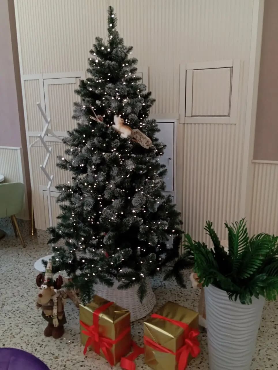 French Bakery SeDelice