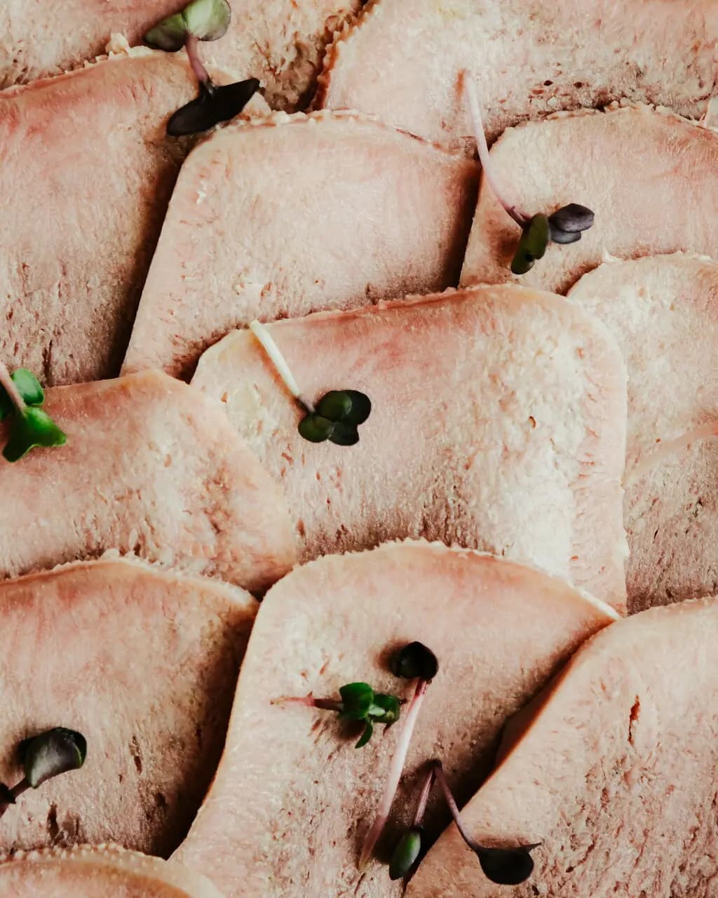 Кот Бегемот