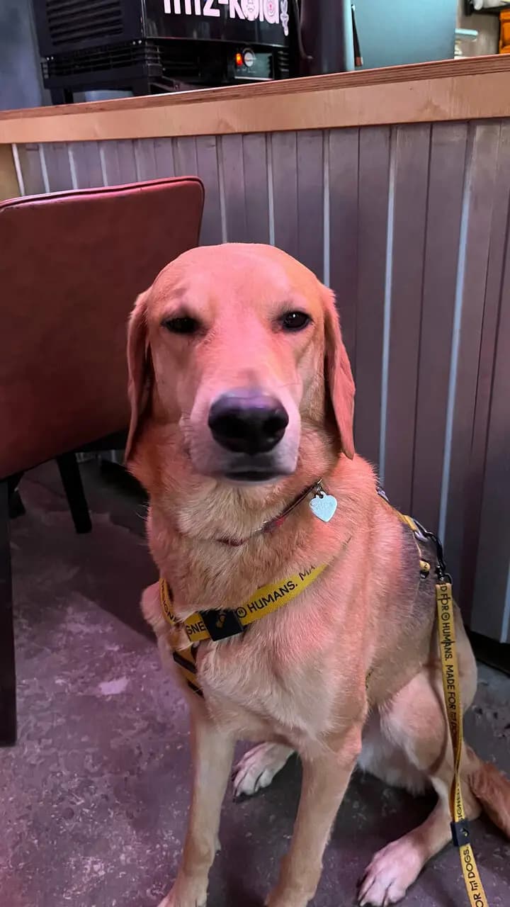 Борис Сонный