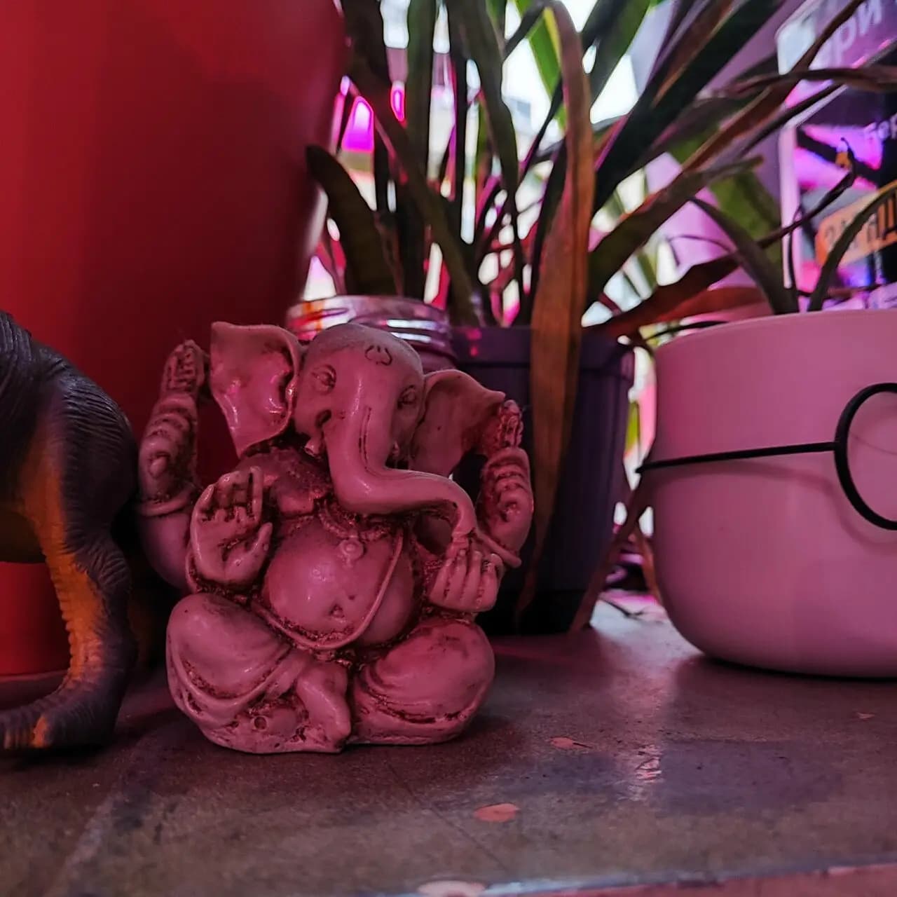 Борис Сонный