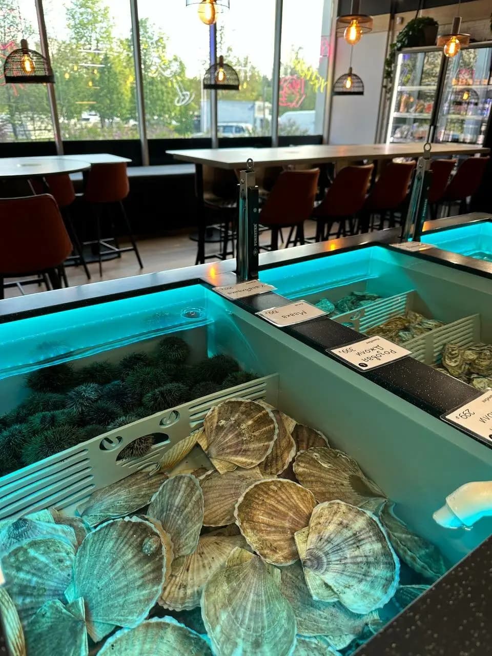 Деликатеска