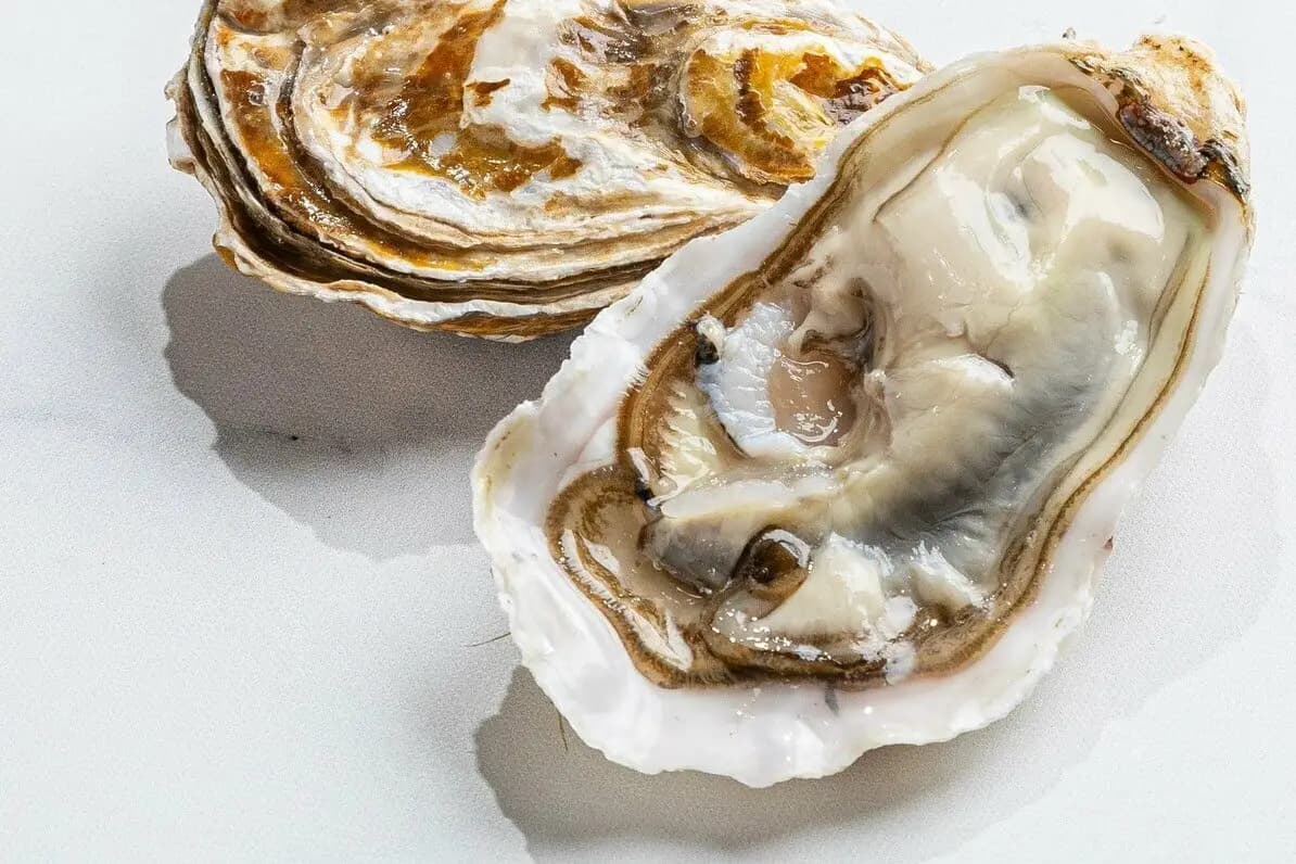 Fish Культура