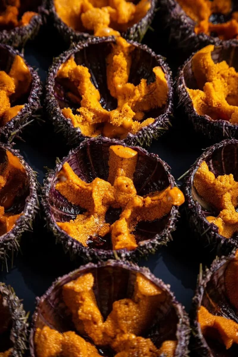 Fish Культура