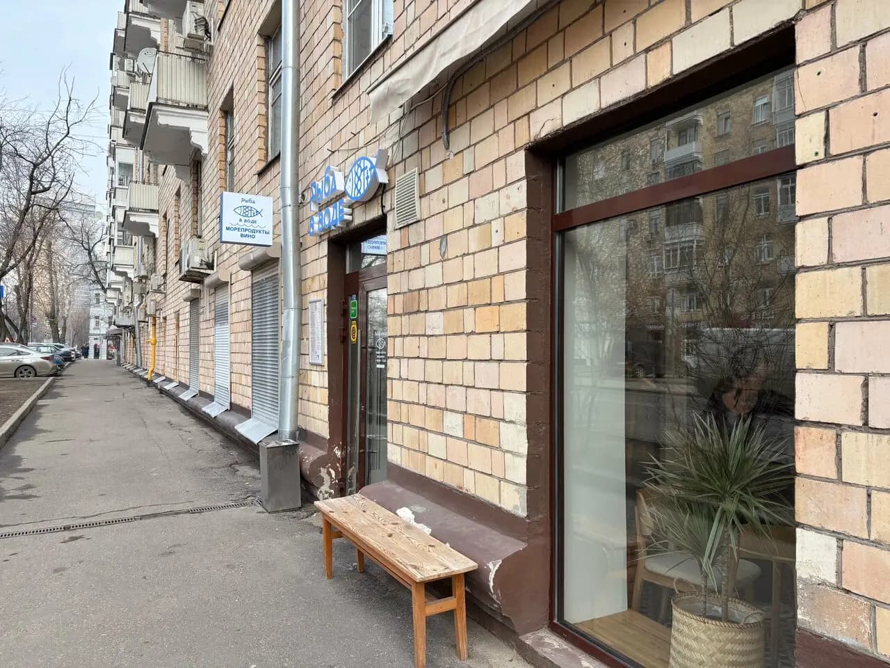 Рыба в воде