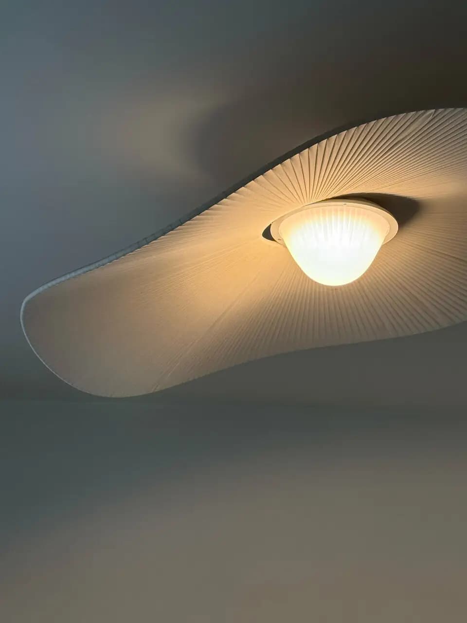 Рыба в воде