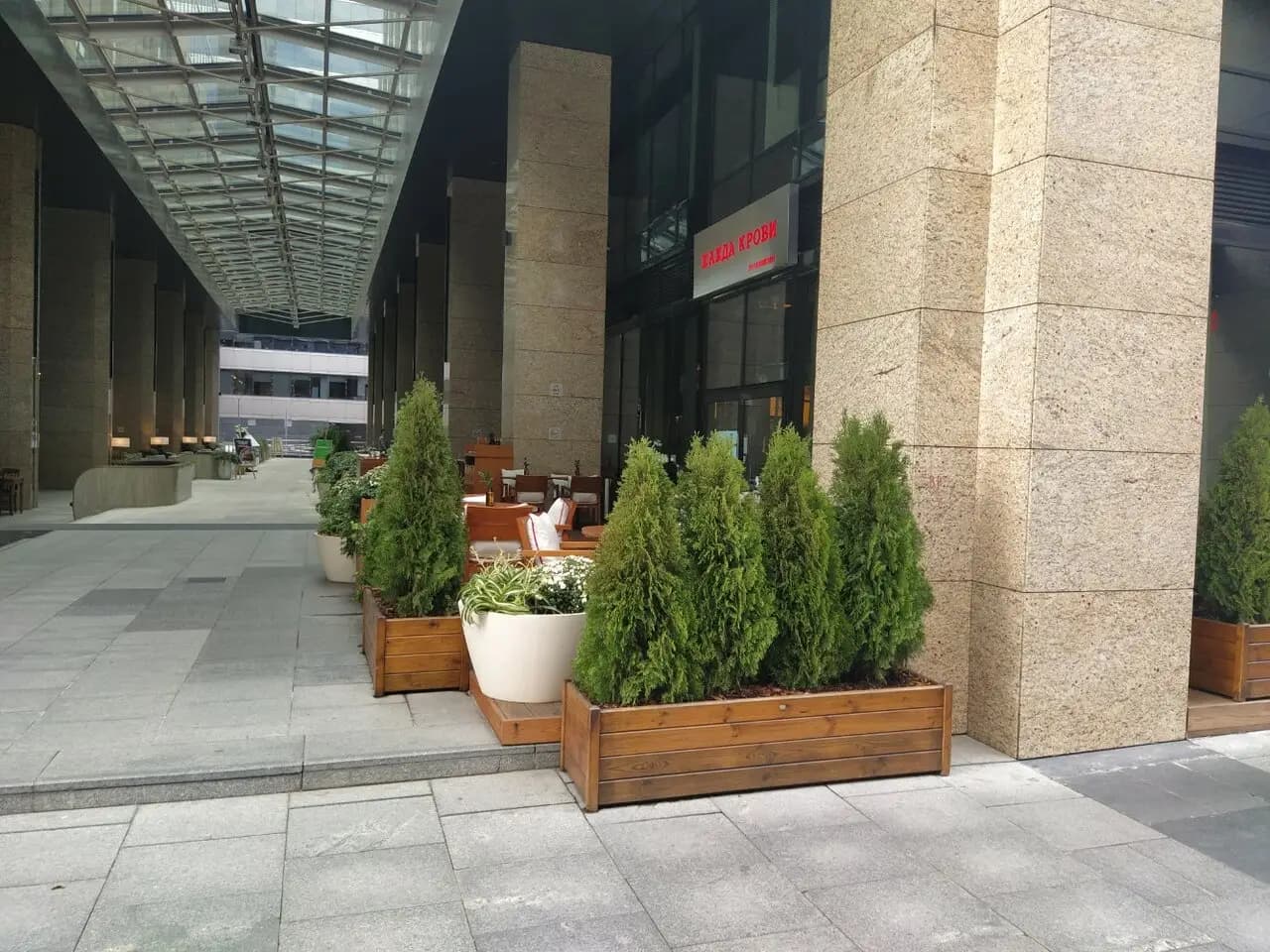 Жажда Крови