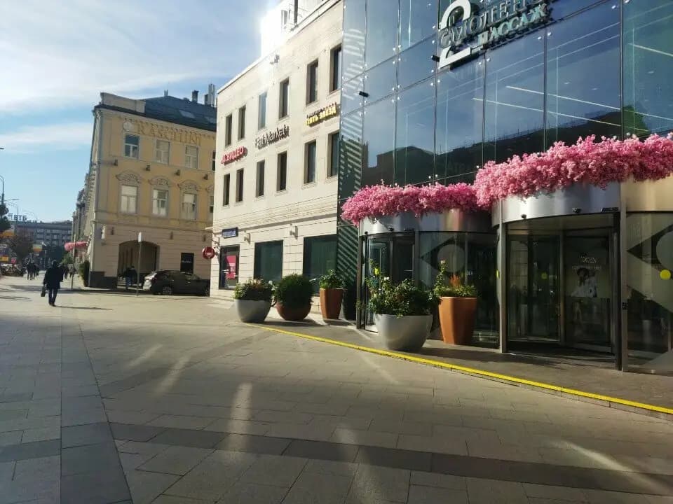 Крутые желтки