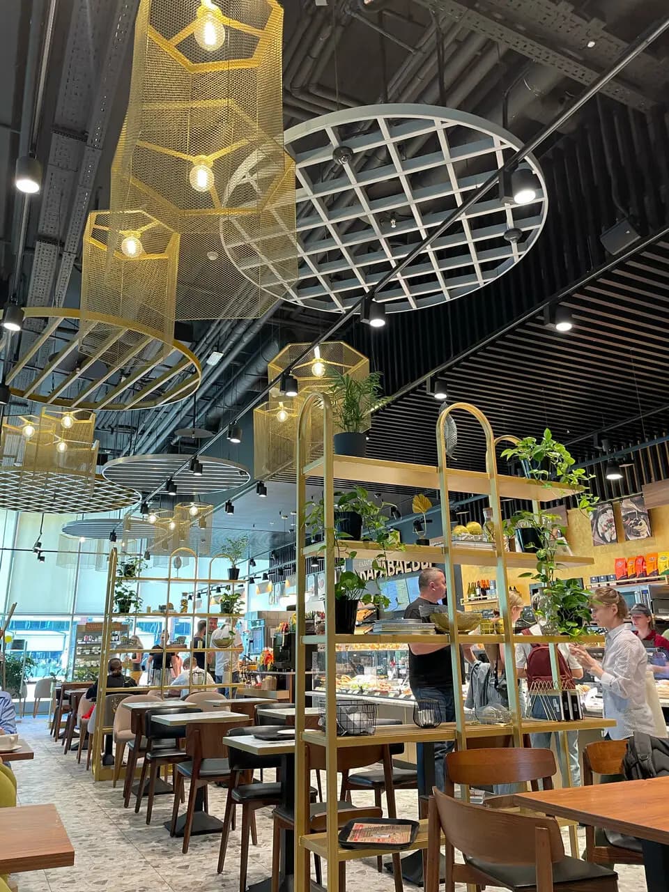 Братья Караваевы