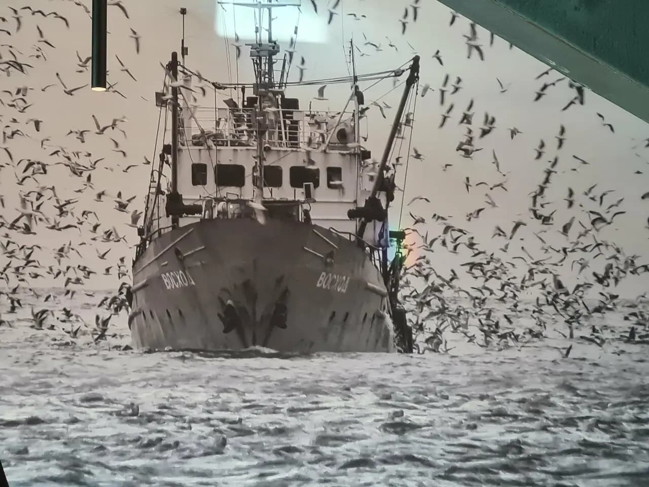 Рыбная мануфактура № 1