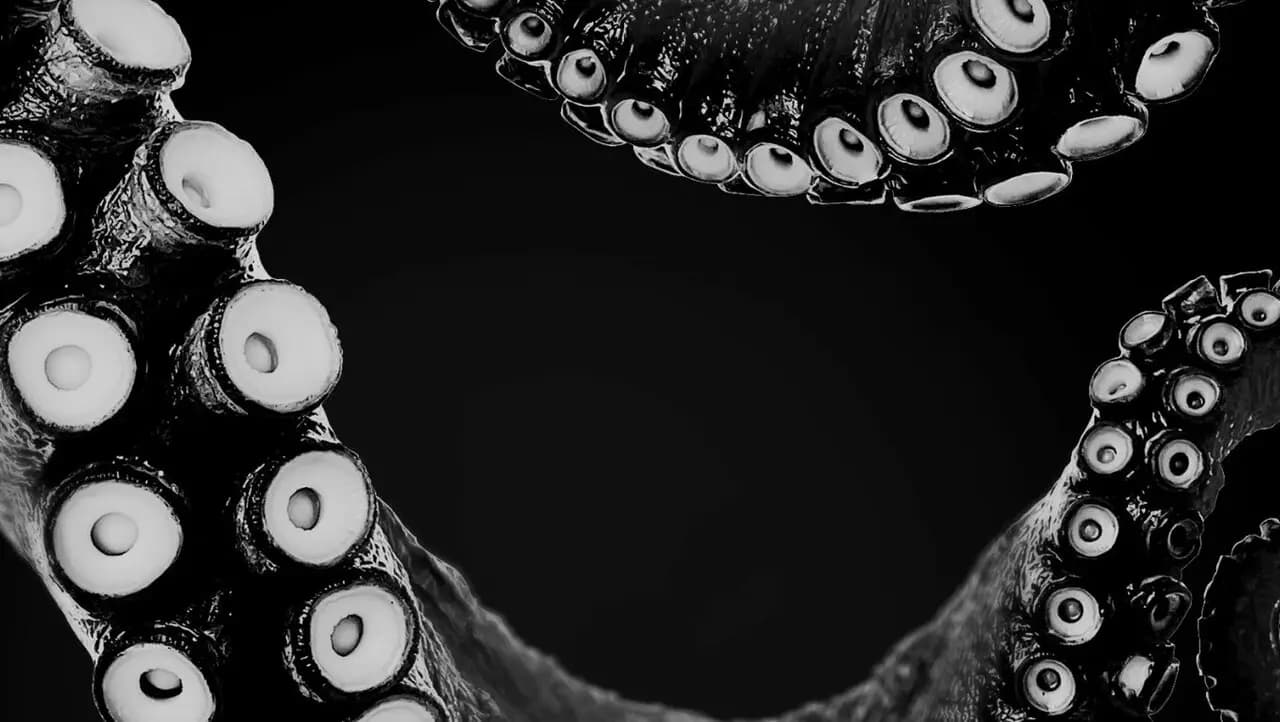 Гады, Крабы и Вино