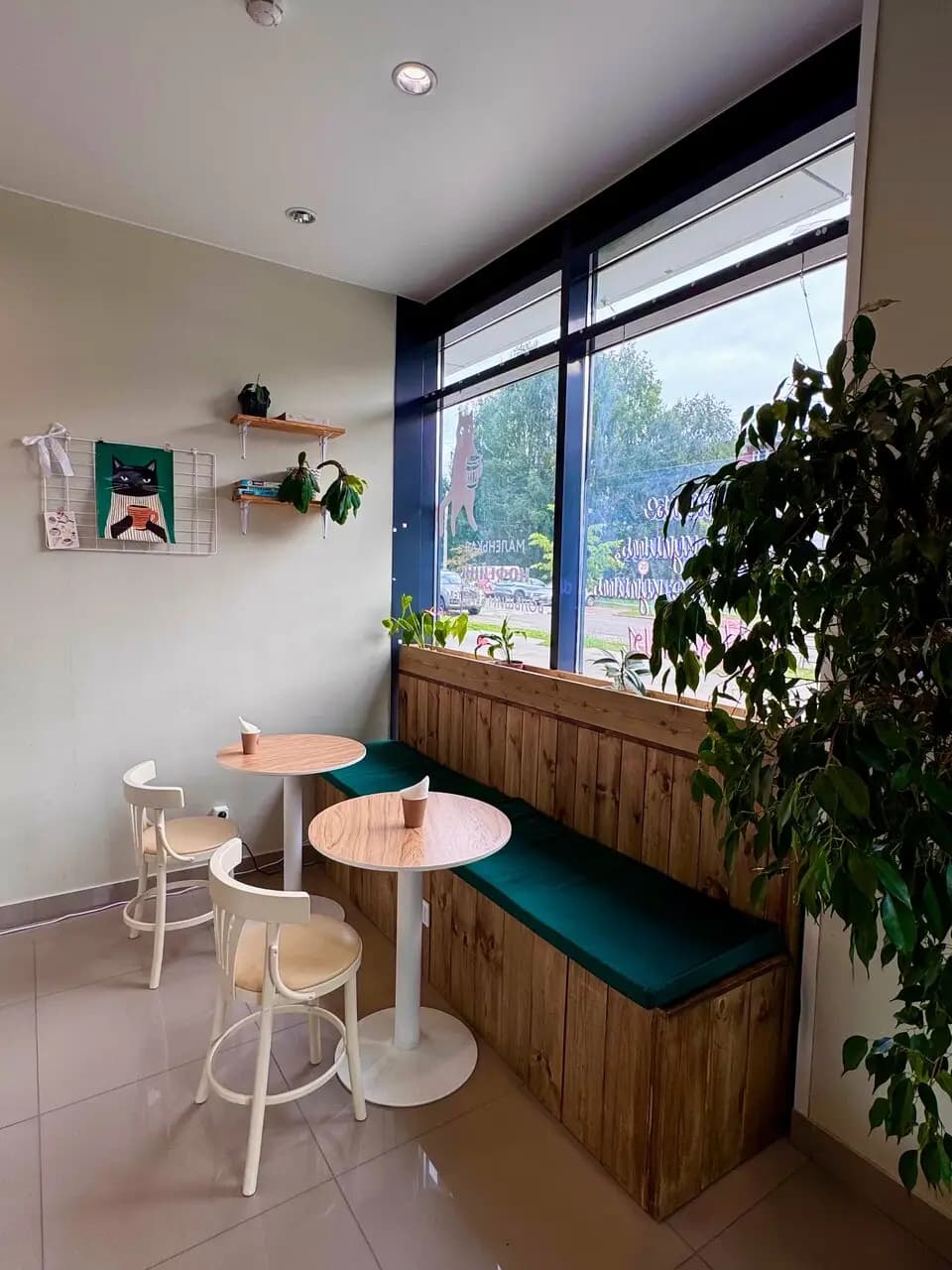 Кот в капучино