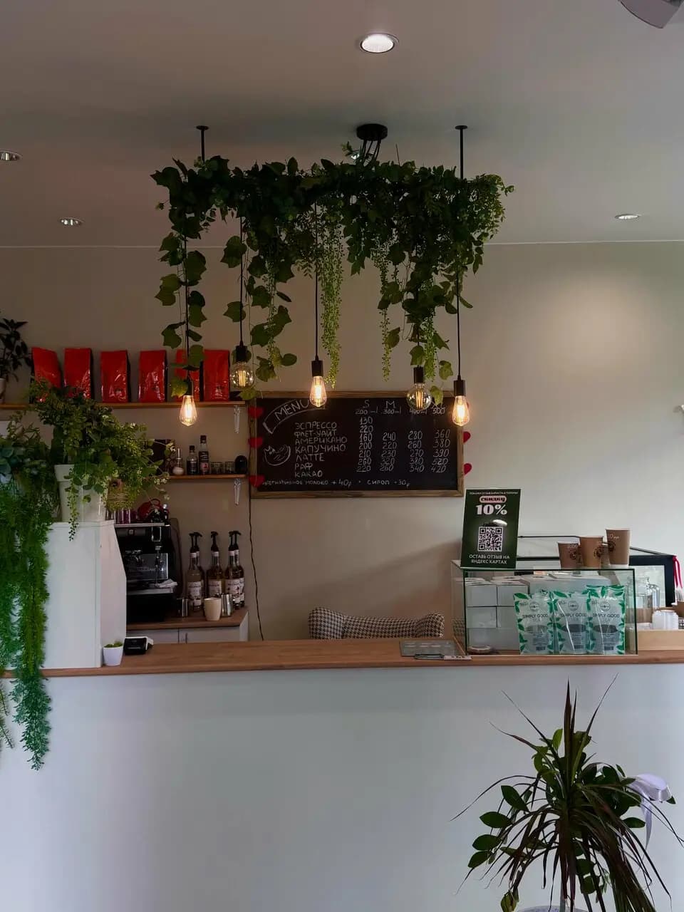 Кот в капучино