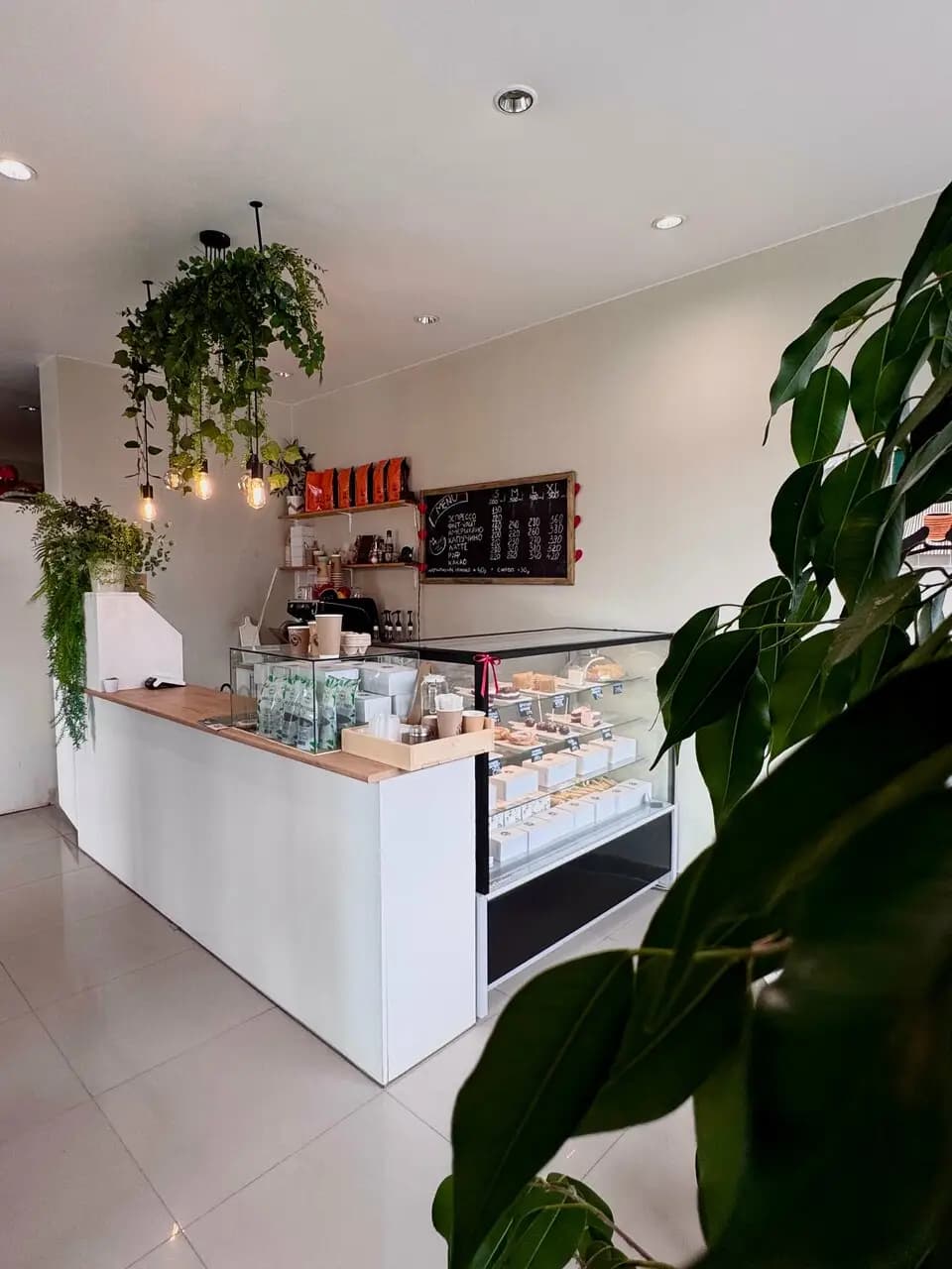 Кот в капучино