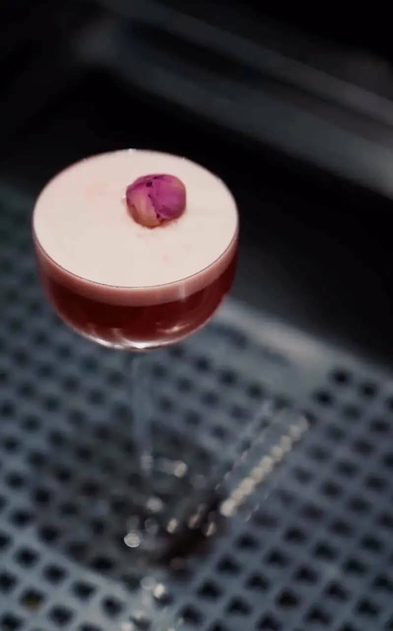 Терра ет Сильва