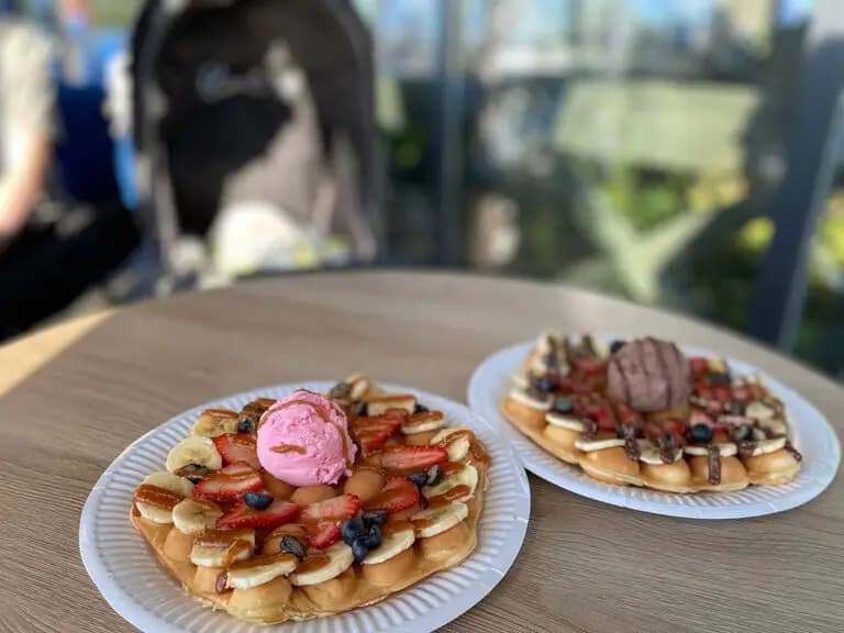 Маленький француз