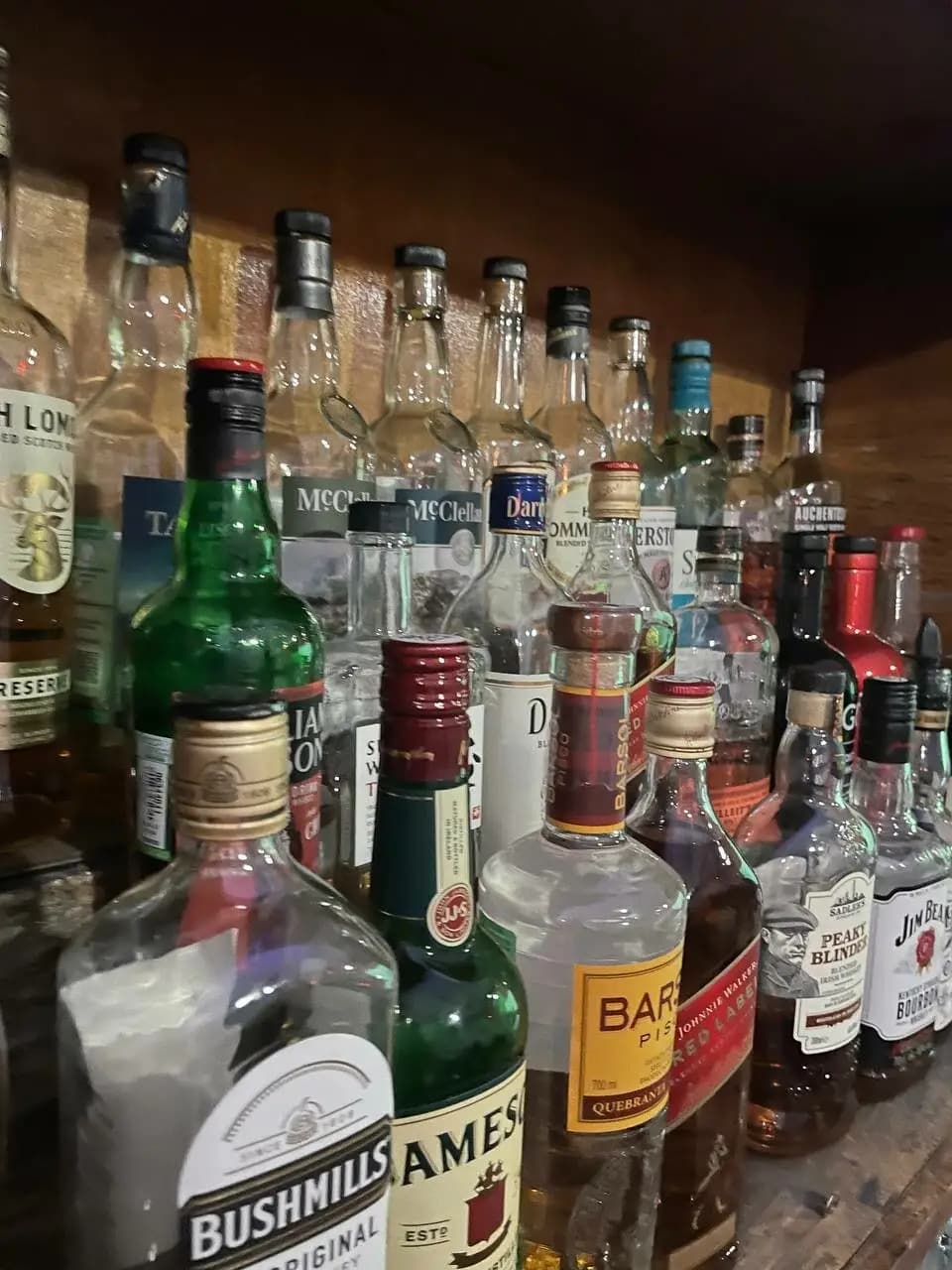 Толстый кот