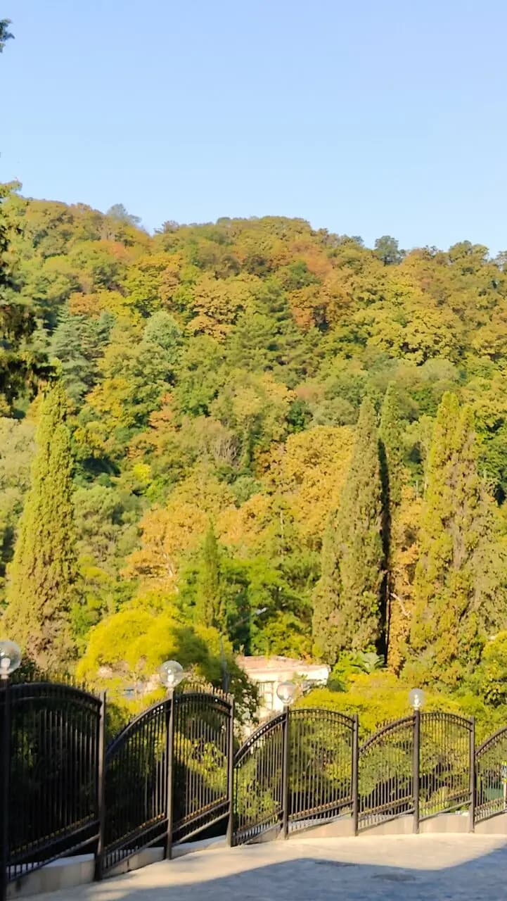 Жардин Де Мер