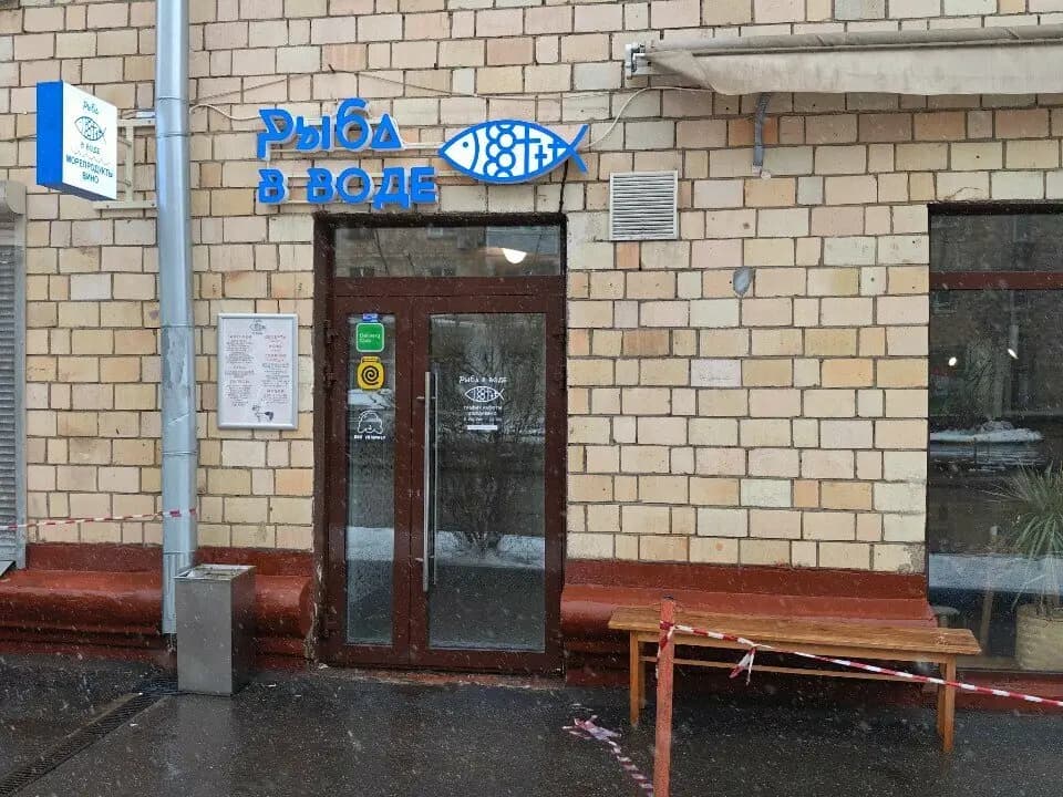 Рыба в воде